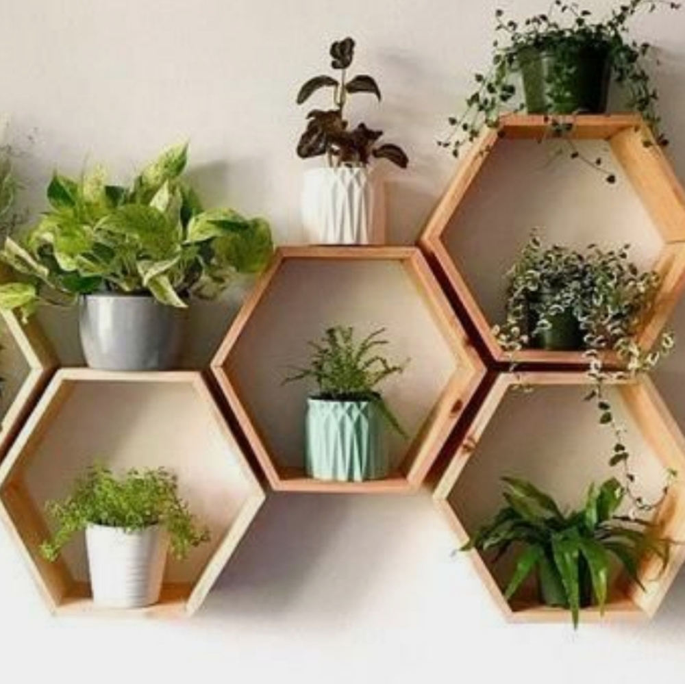 Hexagonal Hexagon Wall Art Planters Eco Art Decor